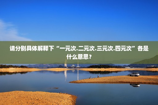 请分别具体解释下“一元次.二元次.三元次.四元次”各是什么意思？