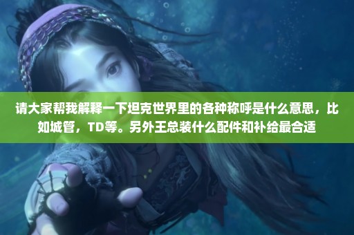 请大家帮我解释一下坦克世界里的各种称呼是什么意思，比如城管，TD等。另外王总装什么配件和补给最合适