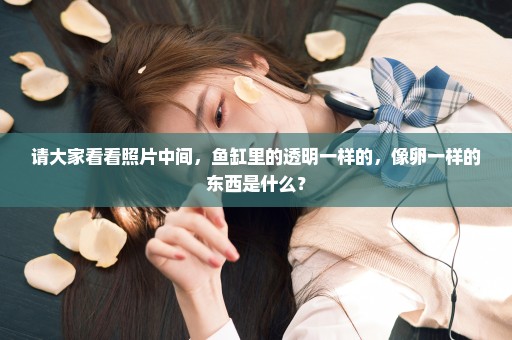 请大家看看照片中间，鱼缸里的透明一样的，像卵一样的东西是什么？