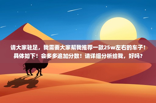 请大家驻足，我需要大家帮我推荐一款25w左右的车子！具体如下！会多多追加分数！请详细分析给我，好吗？