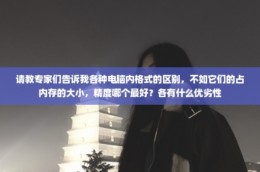 请教专家们告诉我各种电脑内格式的区别，不如它们的占内存的大小，精度哪个最好？各有什么优劣性