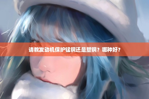 请教发动机保护锰钢还是塑钢？哪种好？
