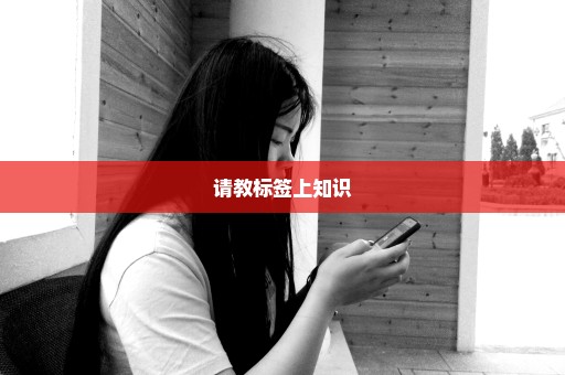 请教标签上知识