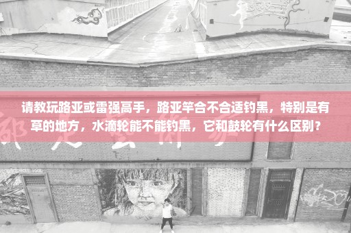 请教玩路亚或雷强高手，路亚竿合不合适钓黑，特别是有草的地方，水滴轮能不能钓黑，它和鼓轮有什么区别？