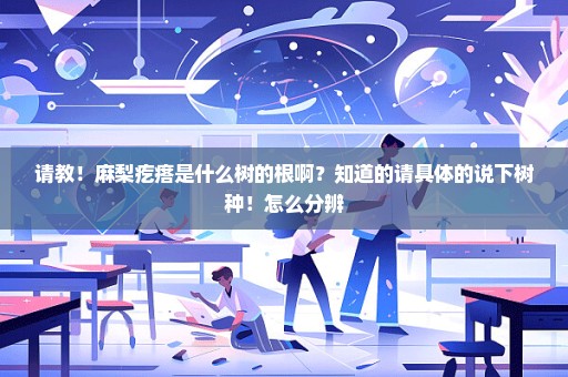 请教！麻梨疙瘩是什么树的根啊？知道的请具体的说下树种！怎么分辨