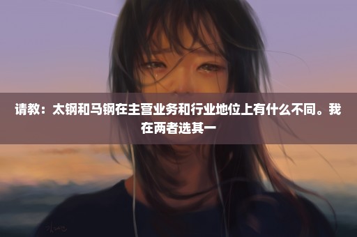 请教：太钢和马钢在主营业务和行业地位上有什么不同。我在两者选其一