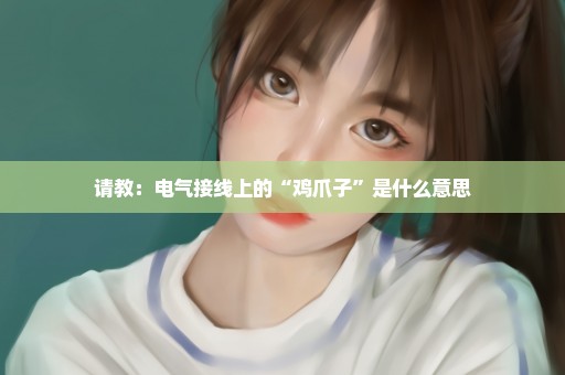 请教：电气接线上的“鸡爪子”是什么意思
