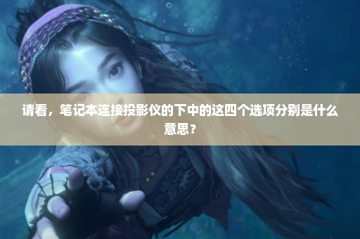 请看，笔记本连接投影仪的下中的这四个选项分别是什么意思？