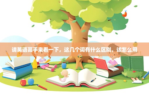 请英语高手来看一下，这几个词有什么区别，该怎么用