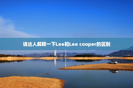 请达人解释一下Lee和Lee cooper的区别