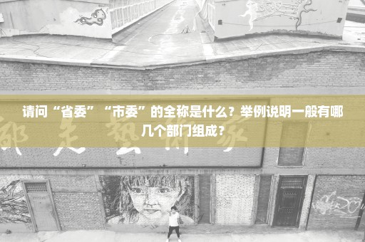 请问“省委”“市委”的全称是什么？举例说明一般有哪几个部门组成？
