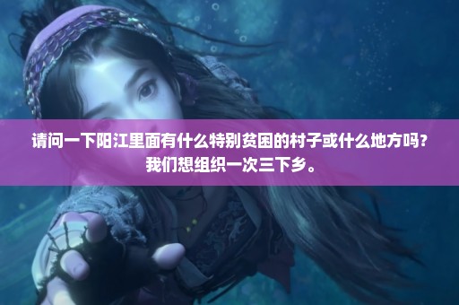 请问一下阳江里面有什么特别贫困的村子或什么地方吗？我们想组织一次三下乡。