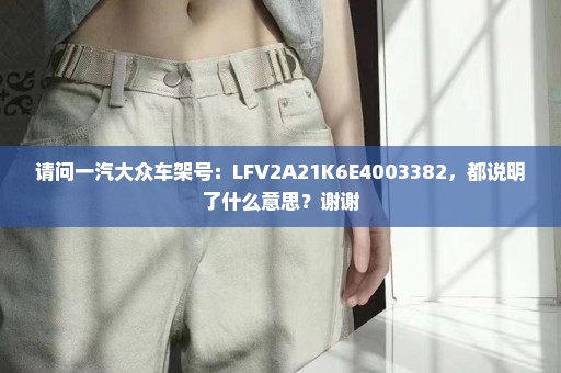 请问一汽大众车架号：LFV2A21K6E4003382，都说明了什么意思？谢谢