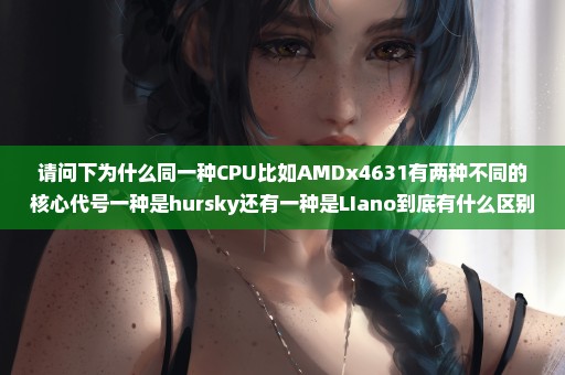 请问下为什么同一种CPU比如AMDx4631有两种不同的核心代号一种是hursky还有一种是LIano到底有什么区别吗...