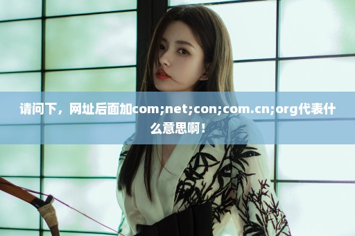 请问下，网址后面加com;net;con;com.cn;org代表什么意思啊！