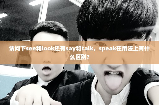 请问下see和look还有say和talk，speak在用法上有什么区别？