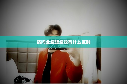 请问业绩跟绩效有什么区别