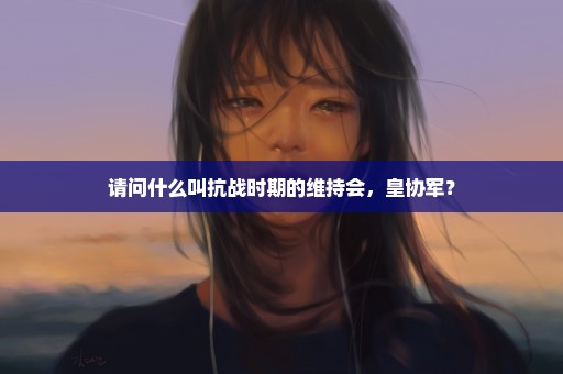 请问什么叫抗战时期的维持会，皇协军？
