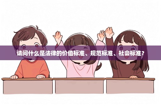 请问什么是法律的价值标准、规范标准、社会标准？