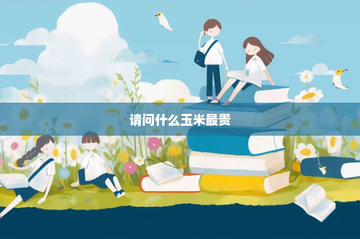 请问什么玉米最贵