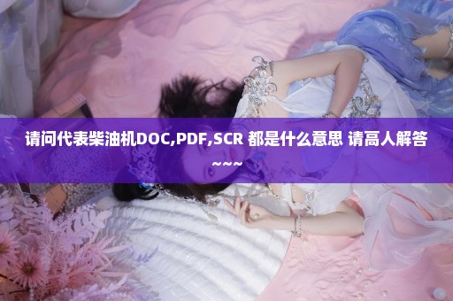 请问代表柴油机DOC,PDF,SCR 都是什么意思 请高人解答~~~