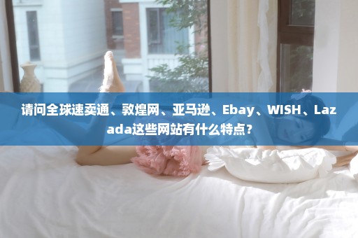 请问全球速卖通、敦煌网、亚马逊、Ebay、WISH、Lazada这些网站有什么特点？