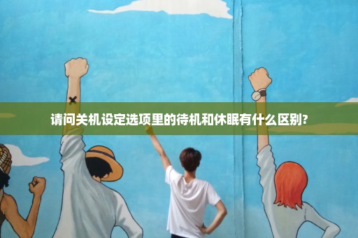 请问关机设定选项里的待机和休眠有什么区别?