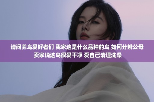 请问养鸟爱好者们 我家这是什么品种的鸟 如何分辨公母 卖家说这鸟很爱干净 爱自己清理洗澡