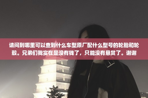 请问到哪里可以查到什么车型原厂配什么型号的轮胎和轮毂。兄弟们我实在是没有钱了，只能没有悬赏了。谢谢