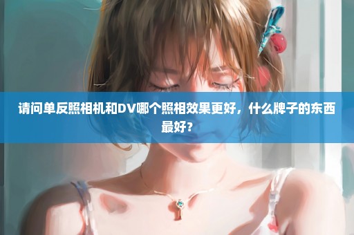 请问单反照相机和DV哪个照相效果更好，什么牌子的东西最好？