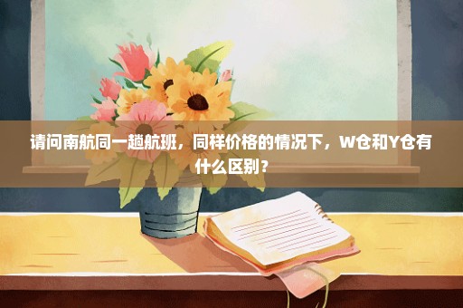 请问南航同一趟航班，同样价格的情况下，W仓和Y仓有什么区别？