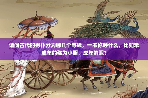 请问古代的男仆分为哪几个等级，一般称呼什么，比如未成年的称为小厮，成年的呢？