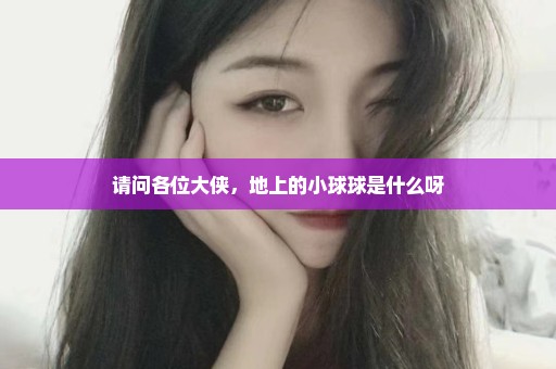 请问各位大侠，地上的小球球是什么呀
