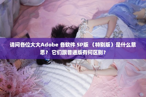 请问各位大大Adobe 各软件 SP版 （特别版）是什么意思？ 它们跟普通版有何区别？