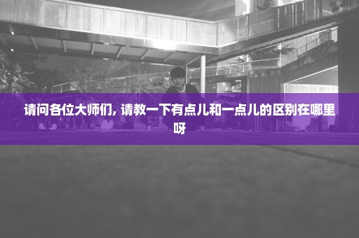 请问各位大师们, 请教一下有点儿和一点儿的区别在哪里呀