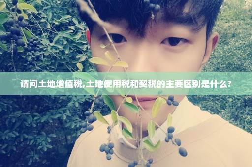 请问土地增值税,土地使用税和契税的主要区别是什么?