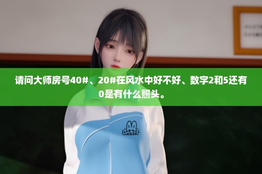 请问大师房号40#、20#在风水中好不好、数字2和5还有0是有什么照头。