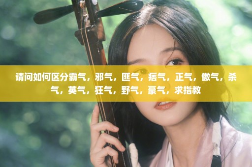 请问如何区分霸气，邪气，匪气，痞气，正气，傲气，杀气，英气，狂气，野气，豪气，求指教