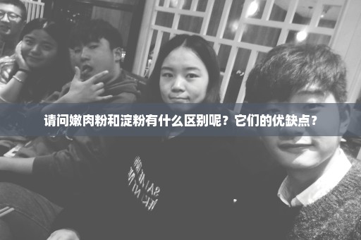 请问嫩肉粉和淀粉有什么区别呢？它们的优缺点？
