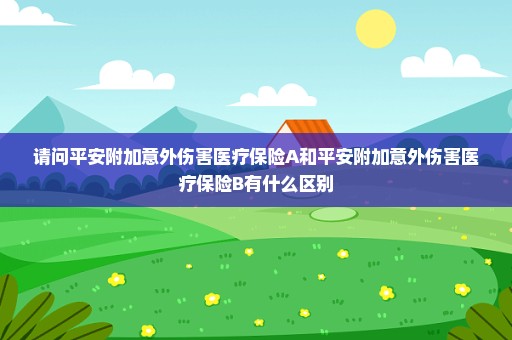 请问平安附加意外伤害医疗保险A和平安附加意外伤害医疗保险B有什么区别