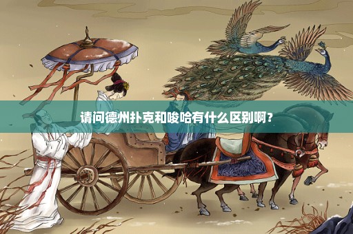 请问德州扑克和唆哈有什么区别啊？
