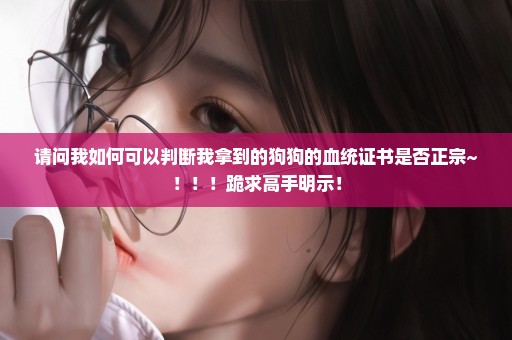 请问我如何可以判断我拿到的狗狗的血统证书是否正宗~！！！跪求高手明示！