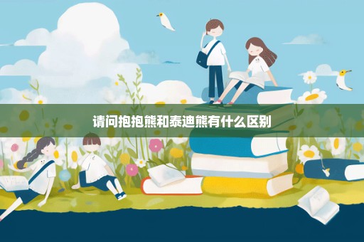 请问抱抱熊和泰迪熊有什么区别