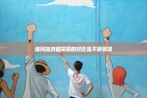 请问捣药罐买铜的好还是不锈钢呢