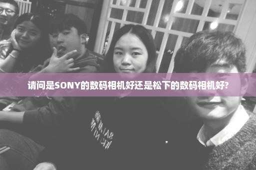 请问是SONY的数码相机好还是松下的数码相机好?
