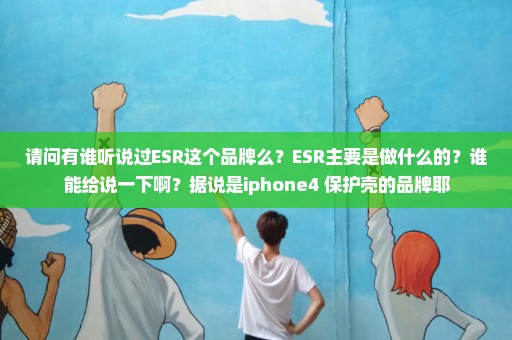 请问有谁听说过ESR这个品牌么？ESR主要是做什么的？谁能给说一下啊？据说是iphone4 保护壳的品牌耶