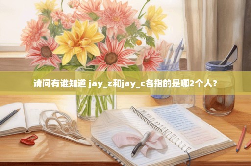 请问有谁知道 jay_z和jay_c各指的是哪2个人？
