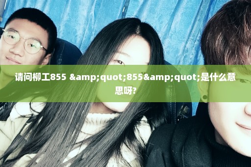 请问柳工855 "855"是什么意思呀?