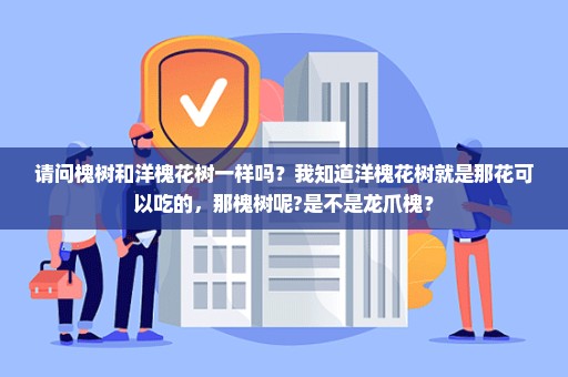 请问槐树和洋槐花树一样吗？我知道洋槐花树就是那花可以吃的，那槐树呢?是不是龙爪槐？