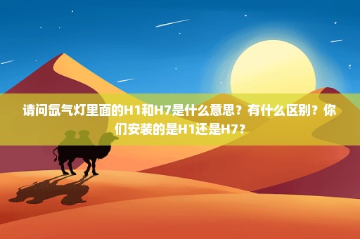 请问氙气灯里面的H1和H7是什么意思？有什么区别？你们安装的是H1还是H7？